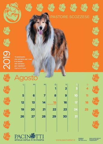 Pacinotti - Calendario 2019