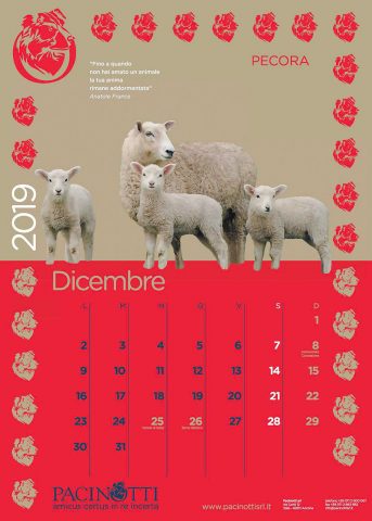 Pacinotti - Calendario 2019
