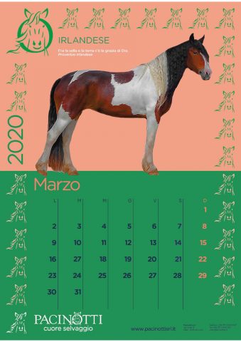 Pacinotti Calendario 2020