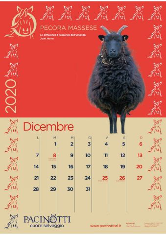 Pacinotti Calendario 2020